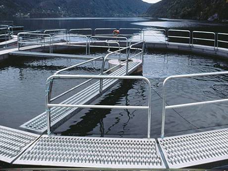 In a small fishing ground, diamond-strut safety grating is used as a bridge.