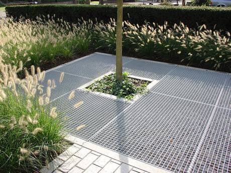 Steel grating tree cover in the garden and a tree grows up in the square hole of grating.