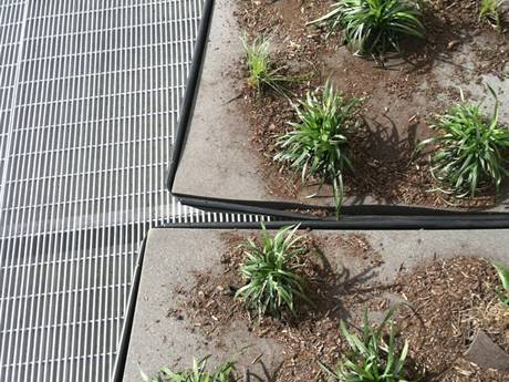 There are grasses on the steel grating floor of roof.