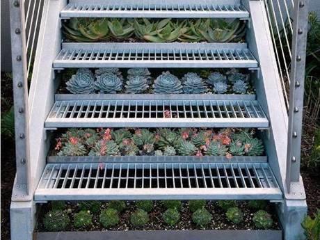 There are many kinds of flowers under the steel grating stair.