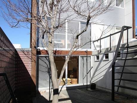 A tree is in front of the house with steel grating floor to ceiling windows.